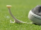 Preview: Step on Tee